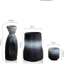 6-pieces-sake-set-with-warmer-traditiona-2.jpg
