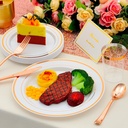 350pcs-rose-gold-plastic-plates-for-50-g-2.jpg