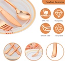 350pcs-rose-gold-plastic-plates-for-50-g-4.jpg