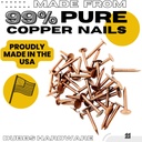1-inch-copper-nails-roofing-finish-100-n-2.jpg