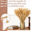 sukh-100-stems-dried-wheat-stalks-for-de-4.jpg