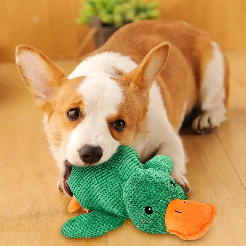 new-dog-toys-for-aggressive-chewers-2025-5.jpg