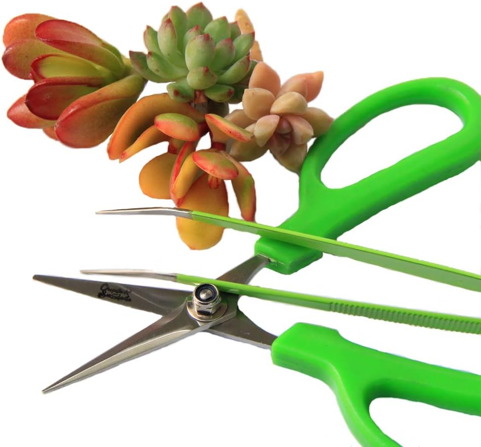 gardening-scissors-and-tweezers-combo-3.jpg