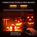 halloween-pumpkin-lights-led-pumpkin-lig-2.jpg