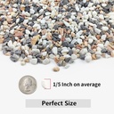 2lb-succulent-and-cactus-gravel-pebbles--2.jpg