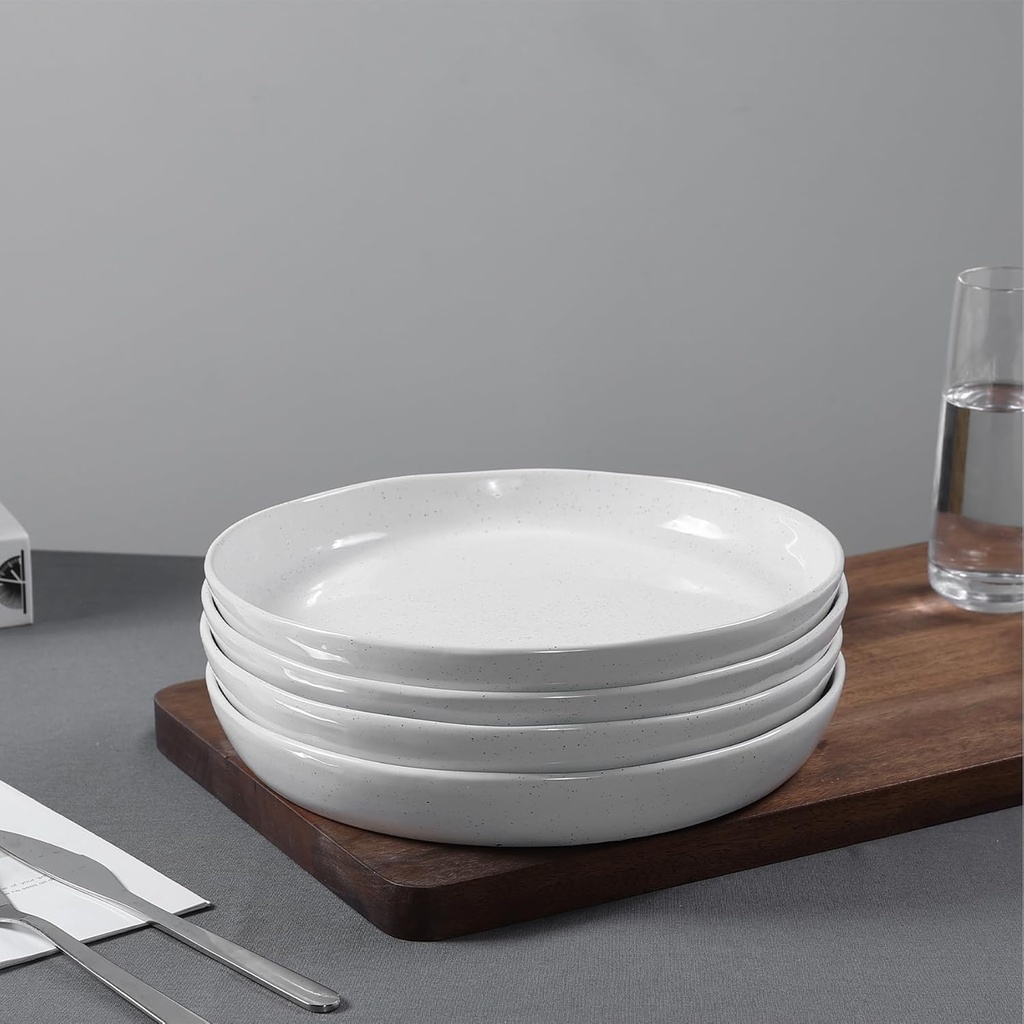 ceramic-dinner-plates-set---10-inch-ston-4.jpg
