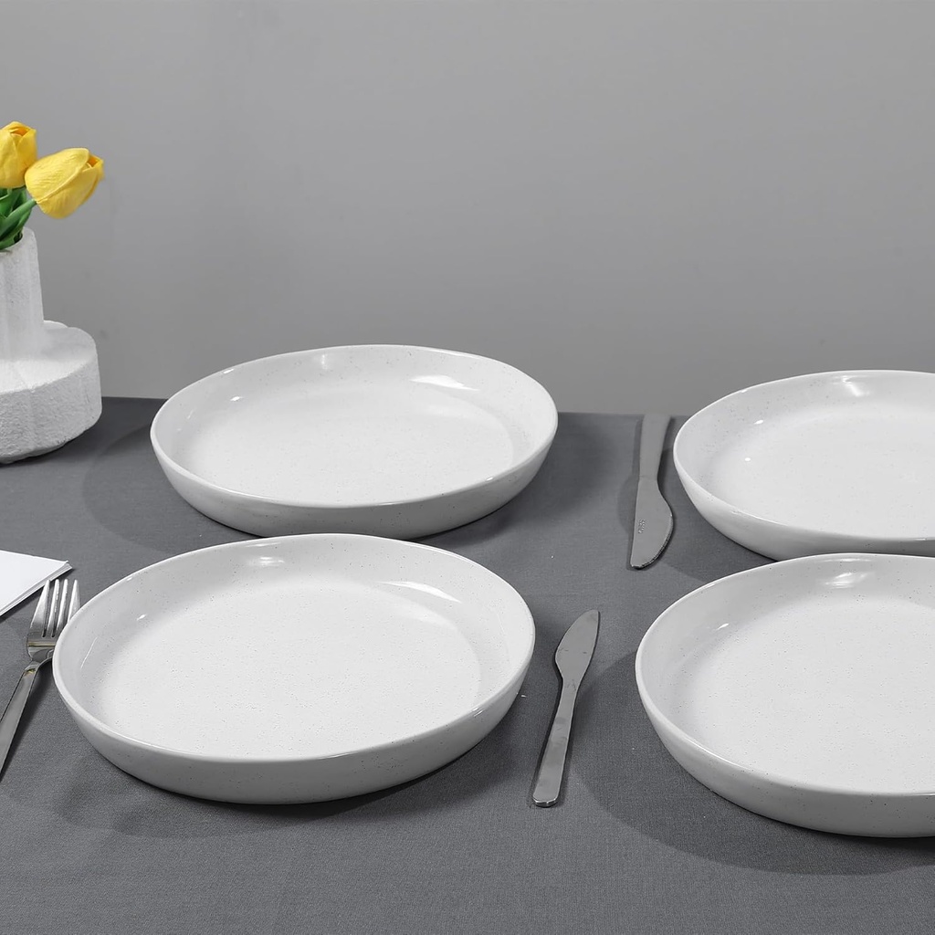 ceramic-dinner-plates-set---10-inch-ston-5.jpg
