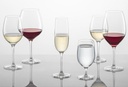 schott-zwiesel-121595-wine-glass-red-whi-3.jpg