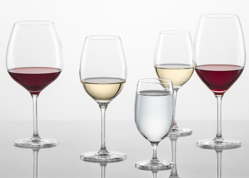 schott-zwiesel-121595-wine-glass-red-whi-4.jpg