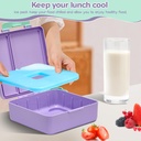 chill-bento-lunch-boxbento-box-with-ice--4.jpg
