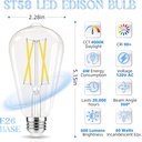 edison-bulbs-60-watt-equivalent-led-e26--2.jpg