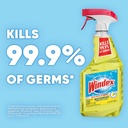 windex-multipurpose-cleaner-disinfectant-4.jpg