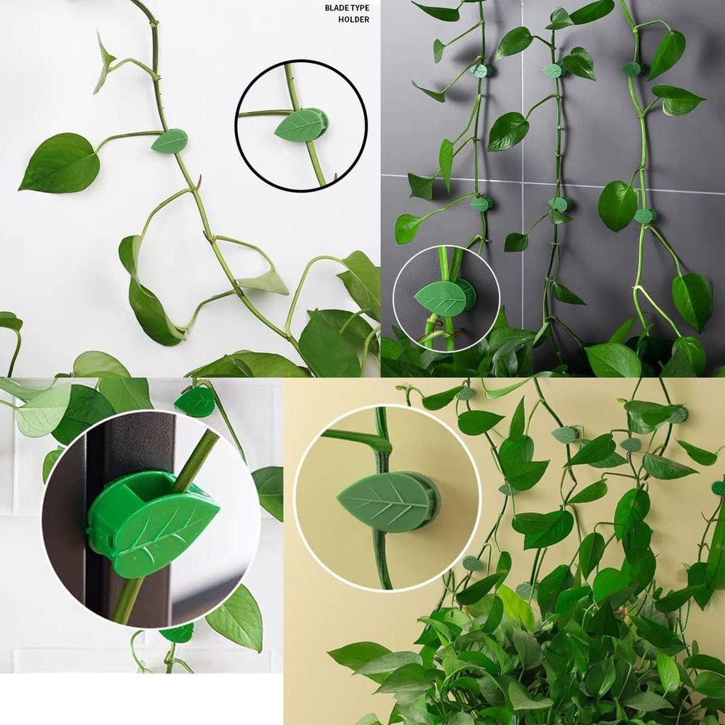 qrwt-30-pieces-plant-climbing-wall-fixtu-2.jpg