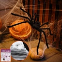 colovis-3-pack-halloween-giant-spider-de-4.jpg