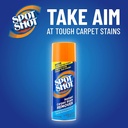 spot-shot-professional-carpet-stain-remo-4.jpg