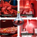 250-watts-r40-red-heat-lamp-light-bulbs--4.jpg