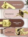 mengico-10-pack-gold-privacy-lever-door--2.jpg