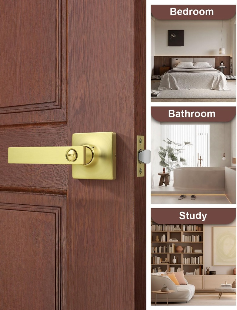 mengico-10-pack-gold-privacy-lever-door--6.jpg