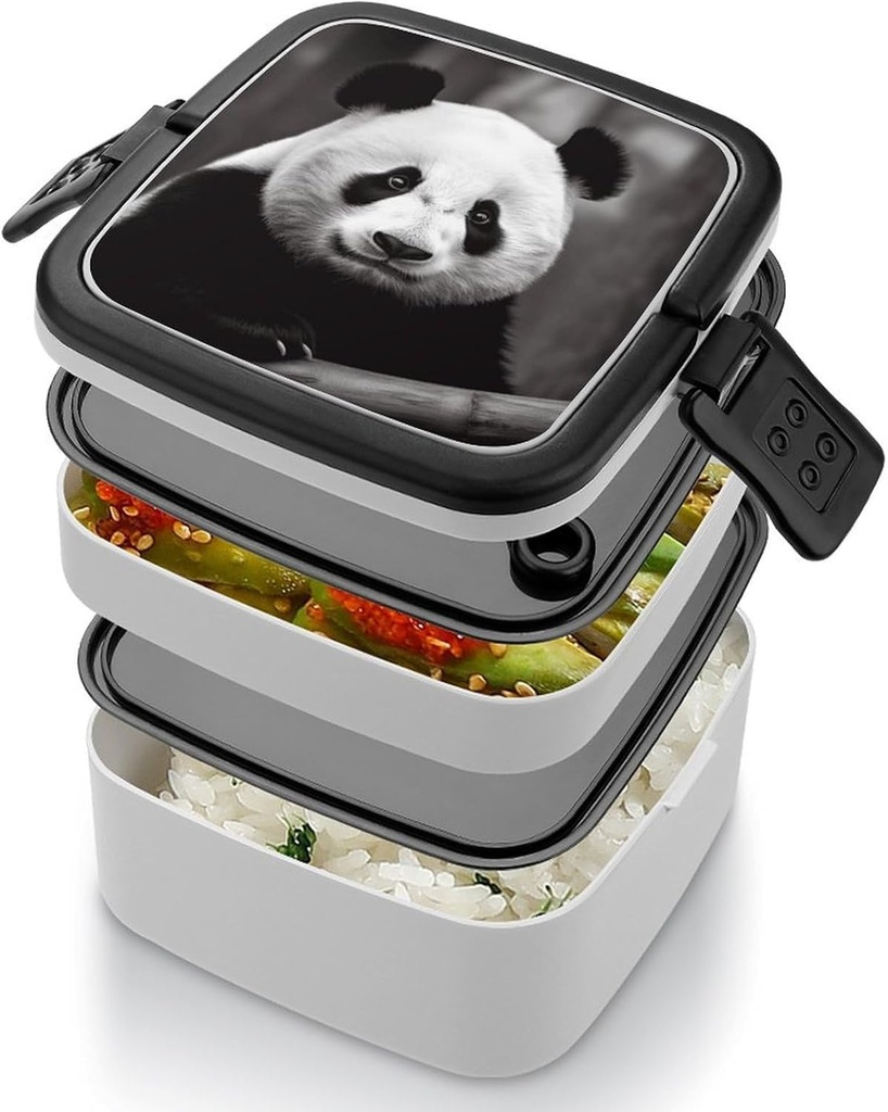 adult-double-layer-bento-box-black-white-4.jpg