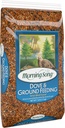 morning-song-dove-ground-feeding-wild-bi-2.jpg