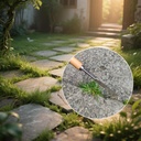 long-handle-crack-weeder-crevice-weeding-5.jpg