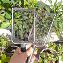 soil-sifter-for-gardening-stainless-stee-4.jpg