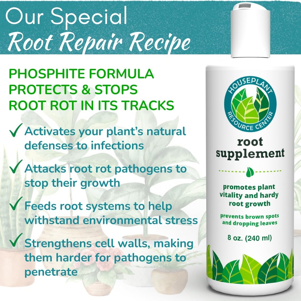 root-rot-repair-for-houseplants-recovery-3.jpg