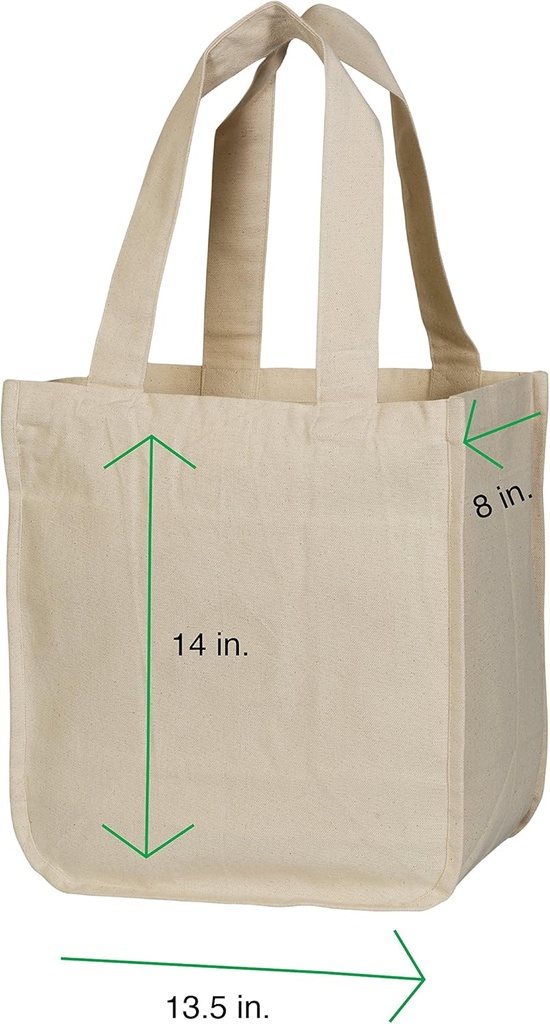 best-canvas-grocery-shopping-bags-with-h-3.jpg