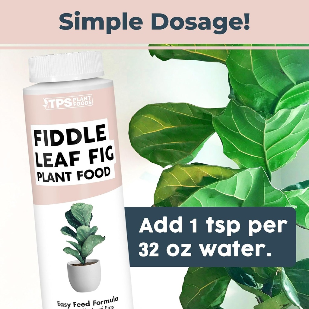 fiddle-leaf-fig-plant-food-for-all-fig-a-3.jpg