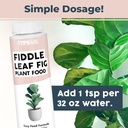 fiddle-leaf-fig-plant-food-for-all-fig-a-3.jpg