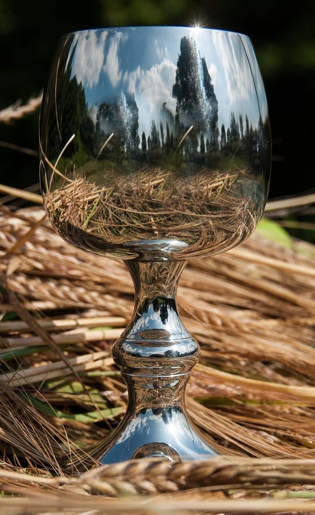 tulip-pewter-goblet-customized-3.jpg