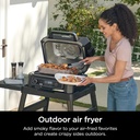 ninja-grill-smoker-outdoor-woodfire-pro--4.jpg