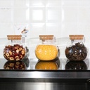 17oz-glass-jars-with-airtight-cork-lidsw-4.jpg