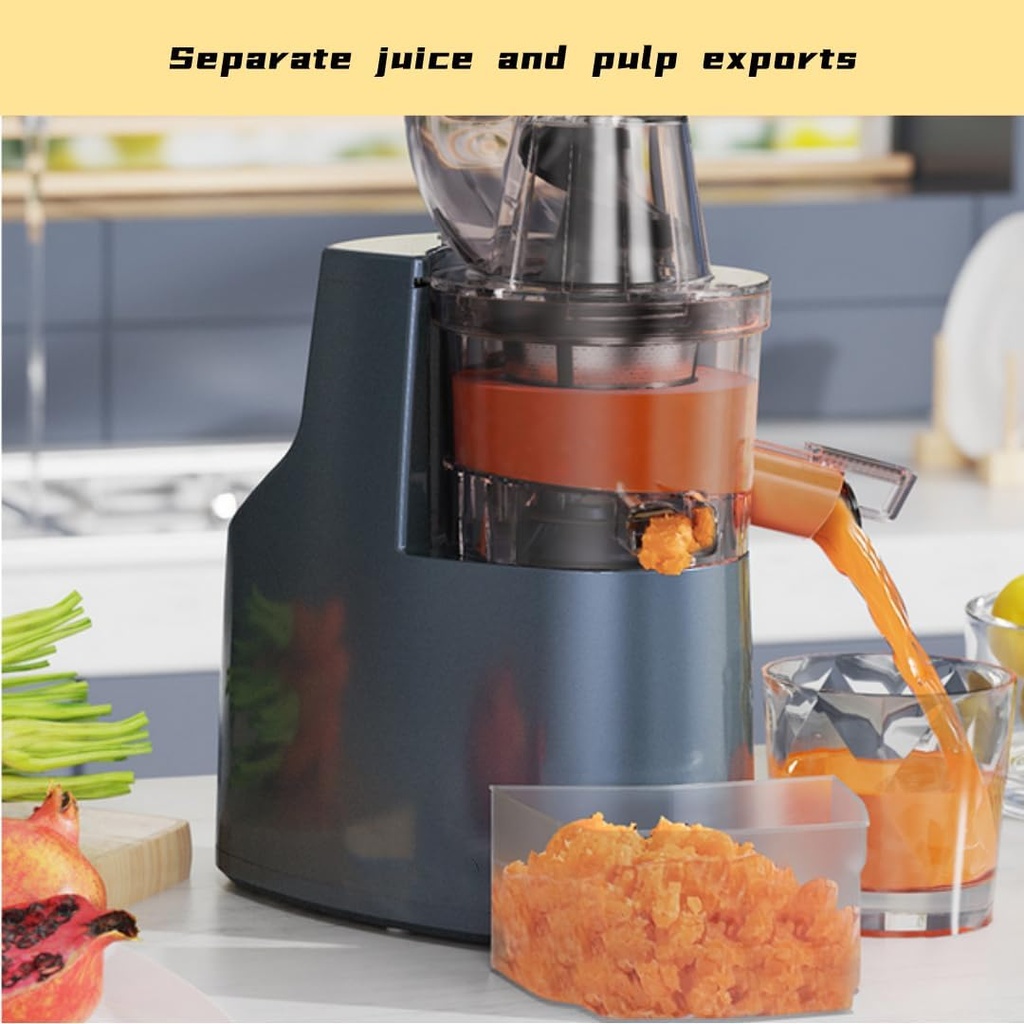generic-high-speed-juicer-machines-for-w-3.jpg