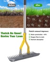 thatch-rakedual-sided-lawn-dethatcher-wi-4.jpg