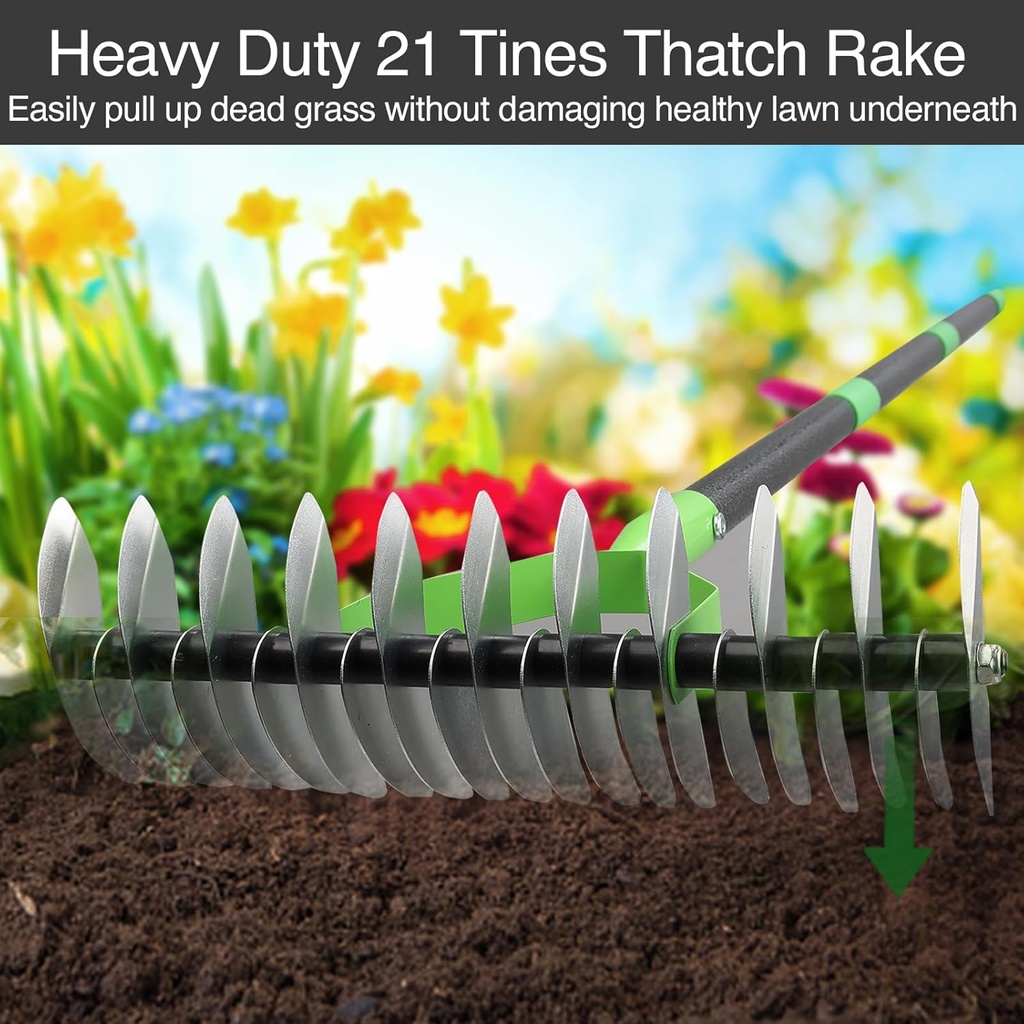 thatch-rake-for-lawns-dead-grass-dethatc-2.jpg