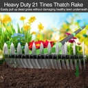 thatch-rake-for-lawns-dead-grass-dethatc-2.jpg