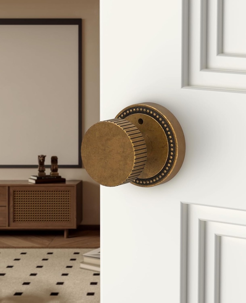 asidrama-4-pack-antique-brass-privacy-do-3.jpg