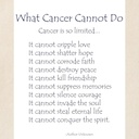cafepress-what-cancer-cannot-do-inspirat-2.jpg