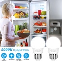 led-refrigerator-light-bulb-40-watt-equi-2.jpg