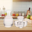 sake-pot-set-glass-sake-set-unique-party-4.jpg