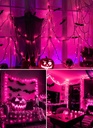 2-pack-purple-halloween-mini-lights-13-f-6.jpg