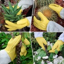 gardening-gloves-for-womenmen-rose-pruni-2.jpg