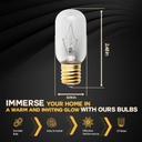 seentech-wb36x10003-bulb-40w-130v-microw-4.jpg