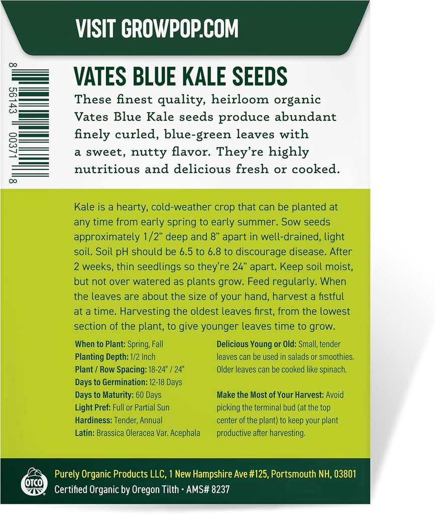 organic-kale-seeds-vates-blue-scotch-cur-4.jpg