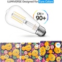 16-pack-st19-dimmable-led-edison-bulb-55-3.jpg