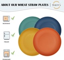 wrova-wheat-straw-plates---9-inch-unbrea-4.jpg