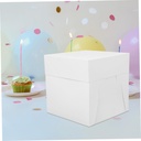 mikinona-elegant-cake-takeaway-boxes-set-6.jpg