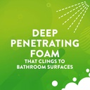 scrubbing-bubbles-foaming-bleach-bathroo-5.jpg