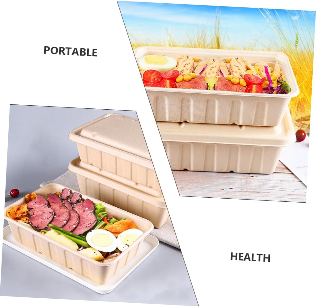 10pcs-eco-friendly-pulp-box-food-storage-5.jpg